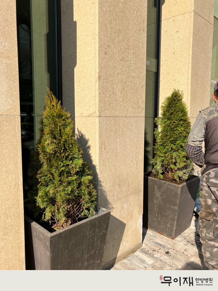 21cd8649c0cdbbba3ccd4d6e3829b1e7_1719468382_7958.jpg 21cd8649c0cdbbba3ccd4d6e3829b1e7_1719468382_7958.jpg