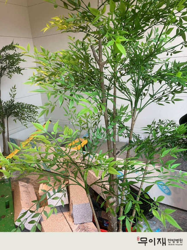 21cd8649c0cdbbba3ccd4d6e3829b1e7_1719468393_1925.jpg 21cd8649c0cdbbba3ccd4d6e3829b1e7_1719468393_1925.jpg