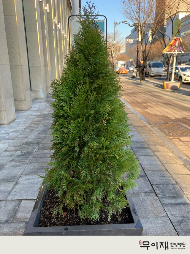 21cd8649c0cdbbba3ccd4d6e3829b1e7_1719468397_4791.jpg 21cd8649c0cdbbba3ccd4d6e3829b1e7_1719468397_4791.jpg